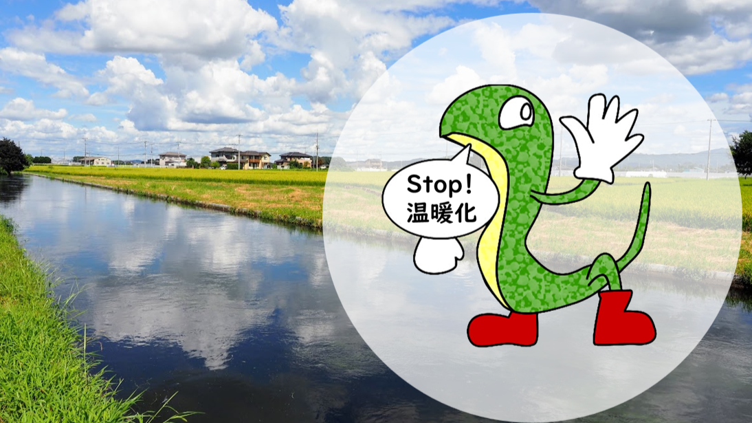 気候変動コラム「蛇足の靴」#7「Saitama日傘」
