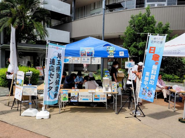 主な活動実績